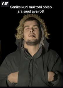Aivo